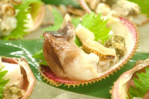とり貝・貝ひも・肝