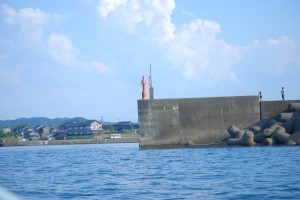 根性試し