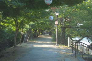 春は桜、秋は紅葉のトンネル