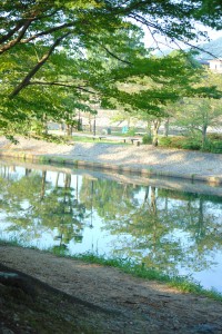 遊歩道から宇治川の眺め。
