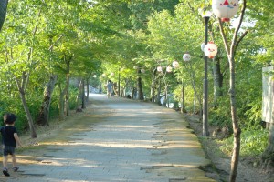 宇治川の遊歩道