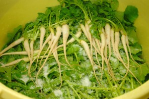「くもじ」を作ります。