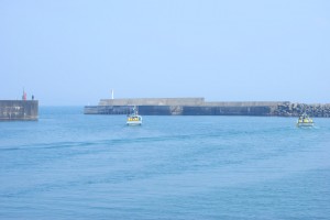 大海原へ!