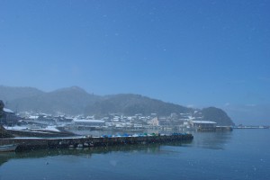 万助楼玄関より漁港を望む