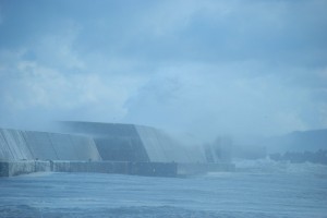 大迫力です。