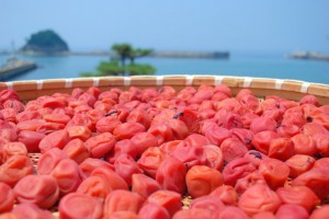 海の風を浴びながら!