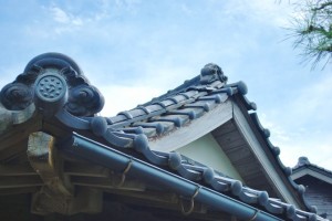 箕甲