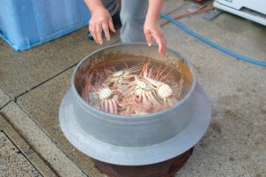 塩茹で。