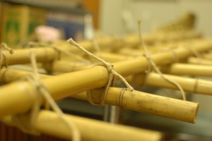 ギュンギュンに縛ります!