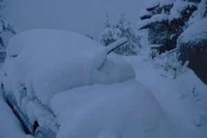 車種わかりますか?