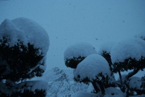 深々と静かに降り続きます。