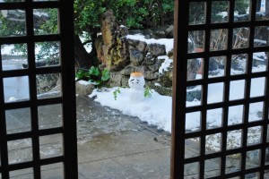 来てます、来てます!