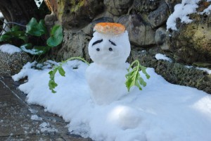 雪三郎です。