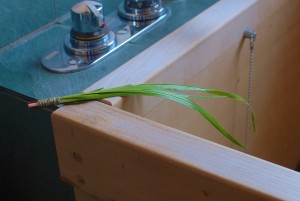 菖蒲湯を楽しんでください。