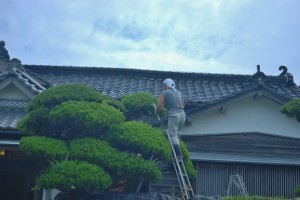 素早い手つきですね(^O^)