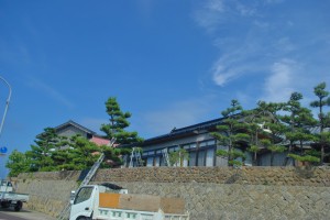 スカッと晴れた空も気持ちいです!