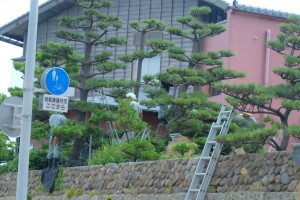 これを見るとお祭り気分になります!