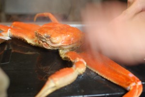 急げ急げ!