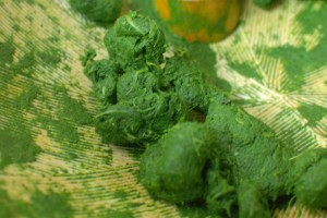 繊維を潰す!