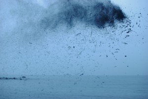 水戸泉関の如く!