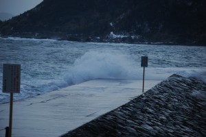 DSC_0488