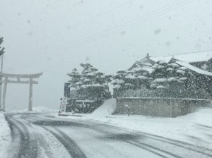 雪かきせねば。。