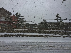 しんしんと。。。
